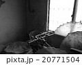 20771504