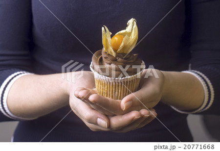 cake with physalis cake with physalis 20771668