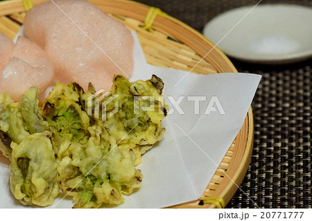 ふきのとうの天ぷら 20771777