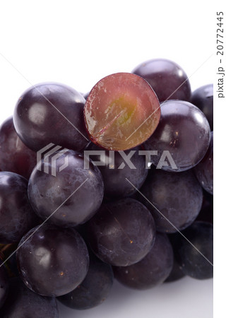 巨峰 巨峰 20772445