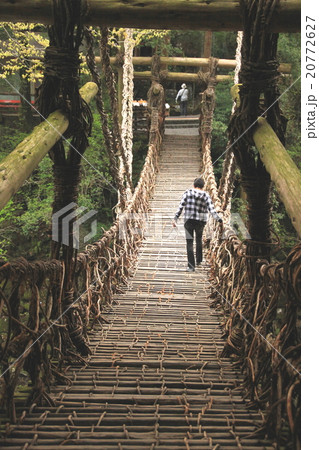 祖谷のかずら橋 20772627
