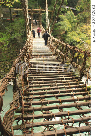 祖谷のかずら橋 20772633