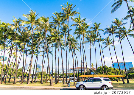【ハワイ】ホノルル・ヤシの木とボートを積んだ車 20772917