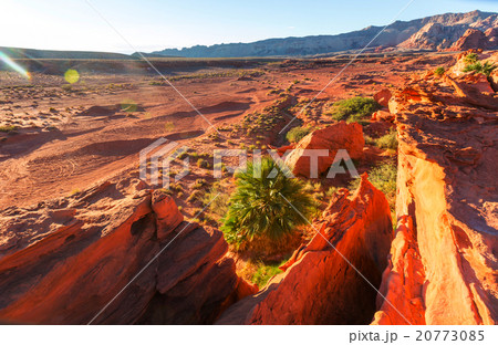 Little Finland 20773085