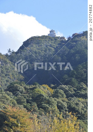 金華山･岐阜城（岐阜県岐阜市） 20774882