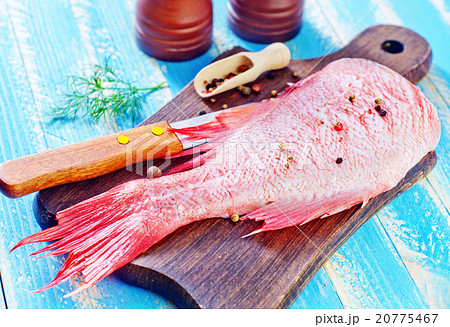 ocean perch ocean perch 20775467