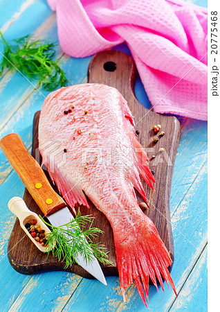 ocean perch 20775468