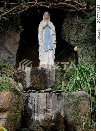 初春の大江天主堂のマリア像 20777185