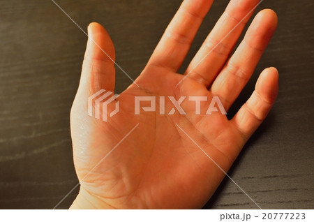 手のひら 手のひら 20777223