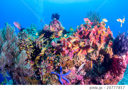 水中景観 20777857