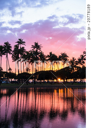 ハワイ ヤシの木と夕暮れの写真素材 7781
