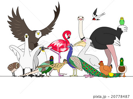 鳥のグループ 20778487