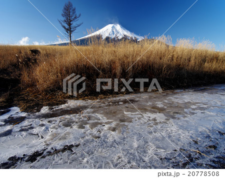 厳冬梨ケ原の富士 厳冬梨ケ原の富士 20778508