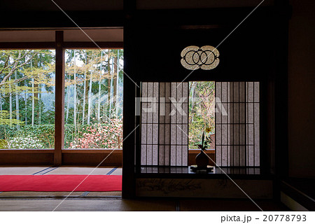 春の宝泉院、西方庭園と出書院 20778793