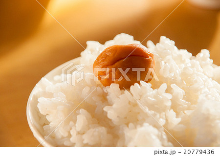ご飯と梅干し 20779436