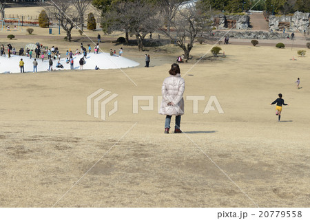 早春の公園 早春の公園 20779558