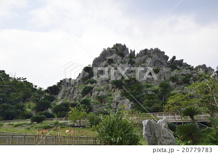 大石林山 20779783