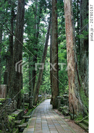 【高野山】奥ノ院へと続く道 【高野山】奥ノ院へと続く道 20780197