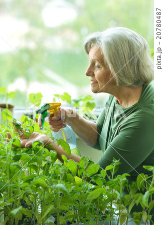 Senior woman planting Senior woman planting 20780487