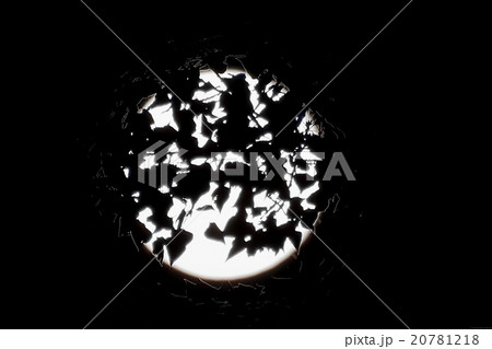Moon behind leaves Moon behind leaves 20781218