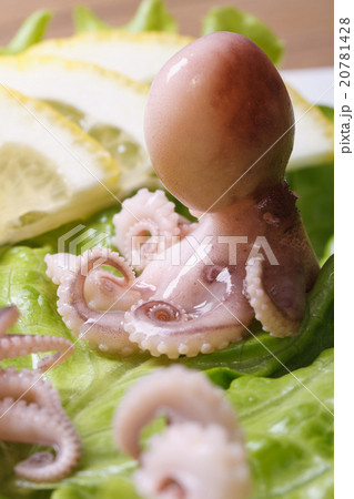 whole small octopus on lettuce close-up vertical 20781428