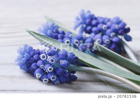 Bouquet of blue spring flowers on a wooden table Bouquet of blue spring flowers on a wooden table 20781536