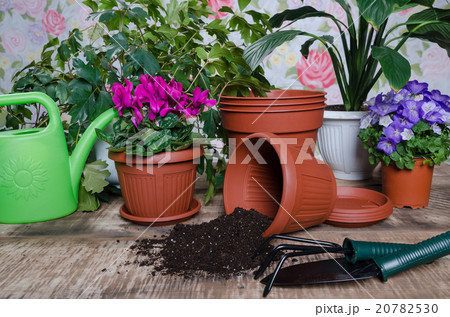 Gardening tools and flower on wooden background 20782530