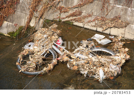 河川に投棄された自転車 河川に投棄された自転車 20783453