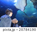 水族館 20784190