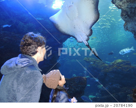 水族館 20784190