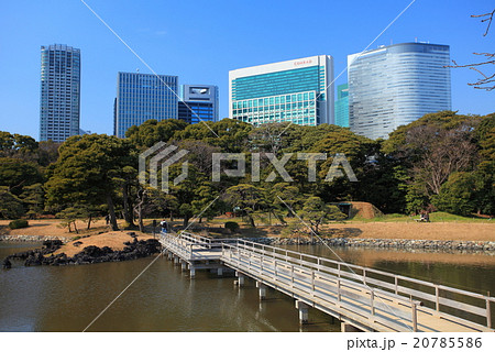 浜離宮恩賜庭園と高層ビル 浜離宮恩賜庭園と高層ビル 20785586