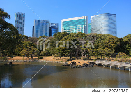 浜離宮恩賜庭園と高層ビル 20785587