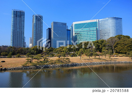 浜離宮恩賜庭園と高層ビル 20785588