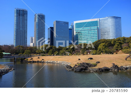 浜離宮恩賜庭園と高層ビル 20785590