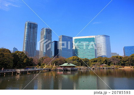 浜離宮恩賜庭園と高層ビル 浜離宮恩賜庭園と高層ビル 20785593