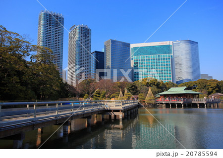 浜離宮恩賜庭園と高層ビル 浜離宮恩賜庭園と高層ビル 20785594
