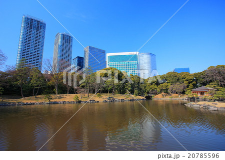 浜離宮恩賜庭園と高層ビル 20785596