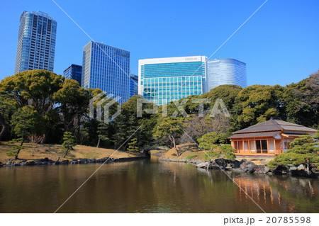 浜離宮恩賜庭園と高層ビル 20785598
