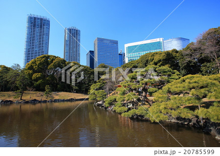 浜離宮恩賜庭園と高層ビル 20785599