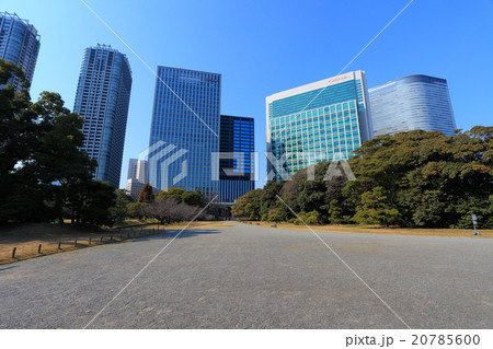 浜離宮恩賜庭園と高層ビル 浜離宮恩賜庭園と高層ビル 20785600