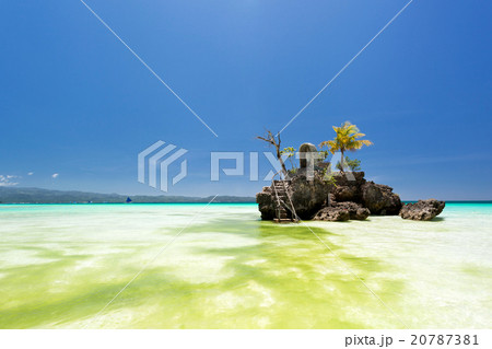 Willy's rock in green seaweed Willy's rock in green seaweed 20787381