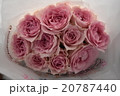 ピンクのバラの贈り物 20787440