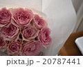 ピンクのバラの贈り物 20787441