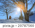 雪山とスノーボーダー 雪山とスノーボーダー 20787560