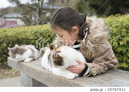 猫を可愛がる女の子 20787911