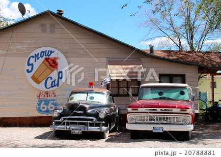 セリグマン 20788881