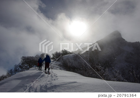 山スキー 登高 北海道黒岳 山スキー 登高 北海道黒岳 20791364