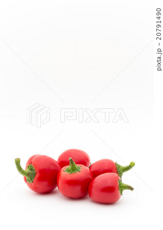 チェリーボムペッパー: Cherry Bomb Pepper 20791490