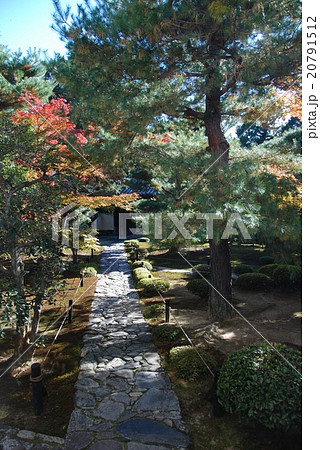 鹿王院の庭園（京都市右京区嵯峨北堀町） 20791512
