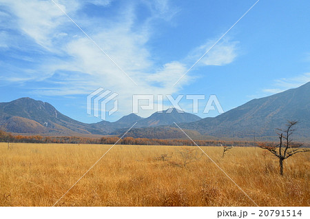 日光･戦場ヶ原（栃木県日光市） 20791514